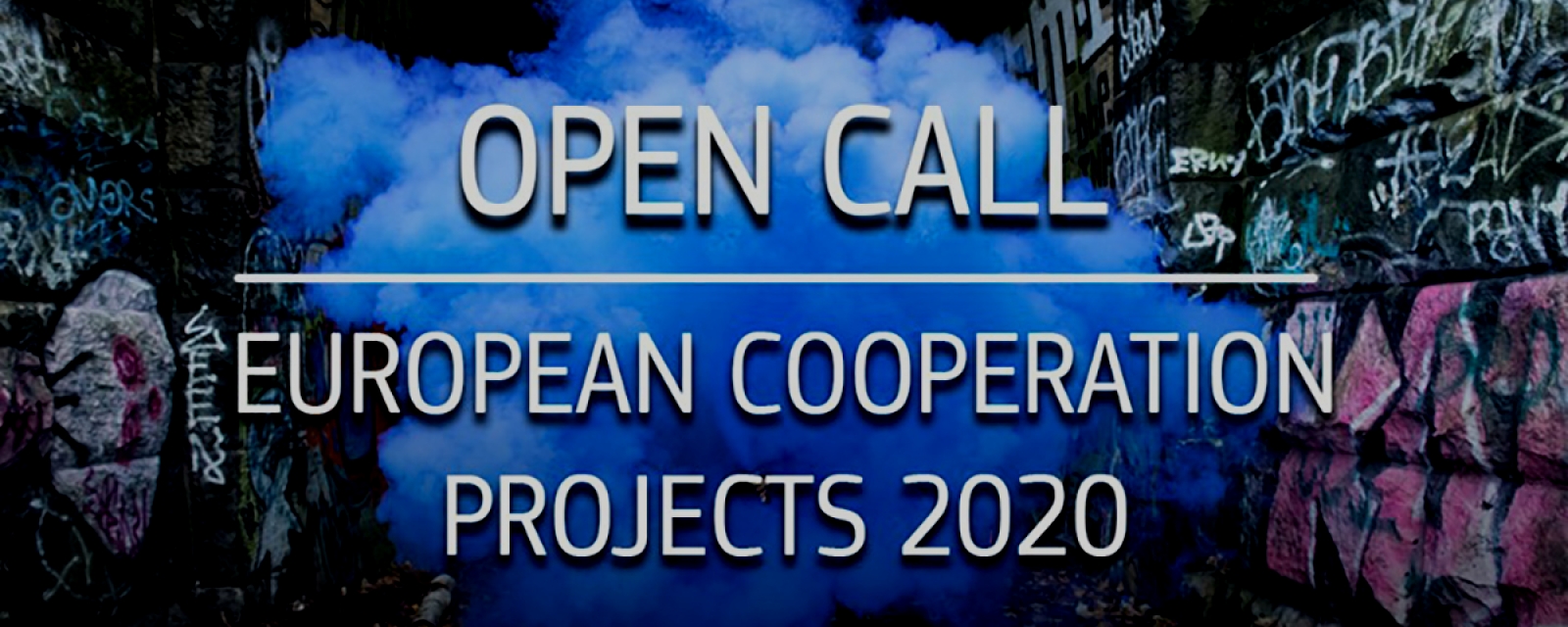 Cooperation 2020